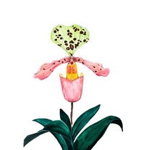 Load image into Gallery viewer, Orchid Cards