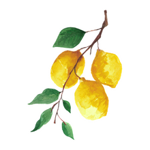 Load image into Gallery viewer, Lemon Cards