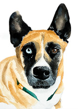 Load image into Gallery viewer, Watercolor Pet Portrait