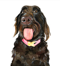 Load image into Gallery viewer, Watercolor Pet Portrait