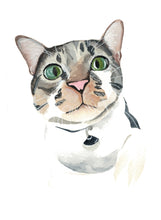 Load image into Gallery viewer, Watercolor Pet Portrait