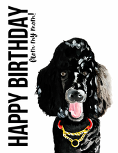 Load image into Gallery viewer, Pet Portrait Cards