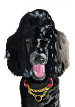 Load image into Gallery viewer, Watercolor Pet Portrait