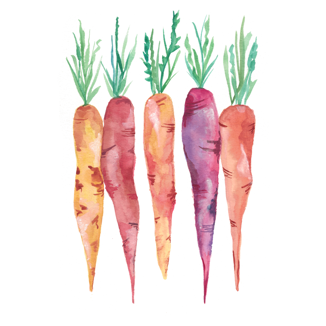 Watercolor Carrots